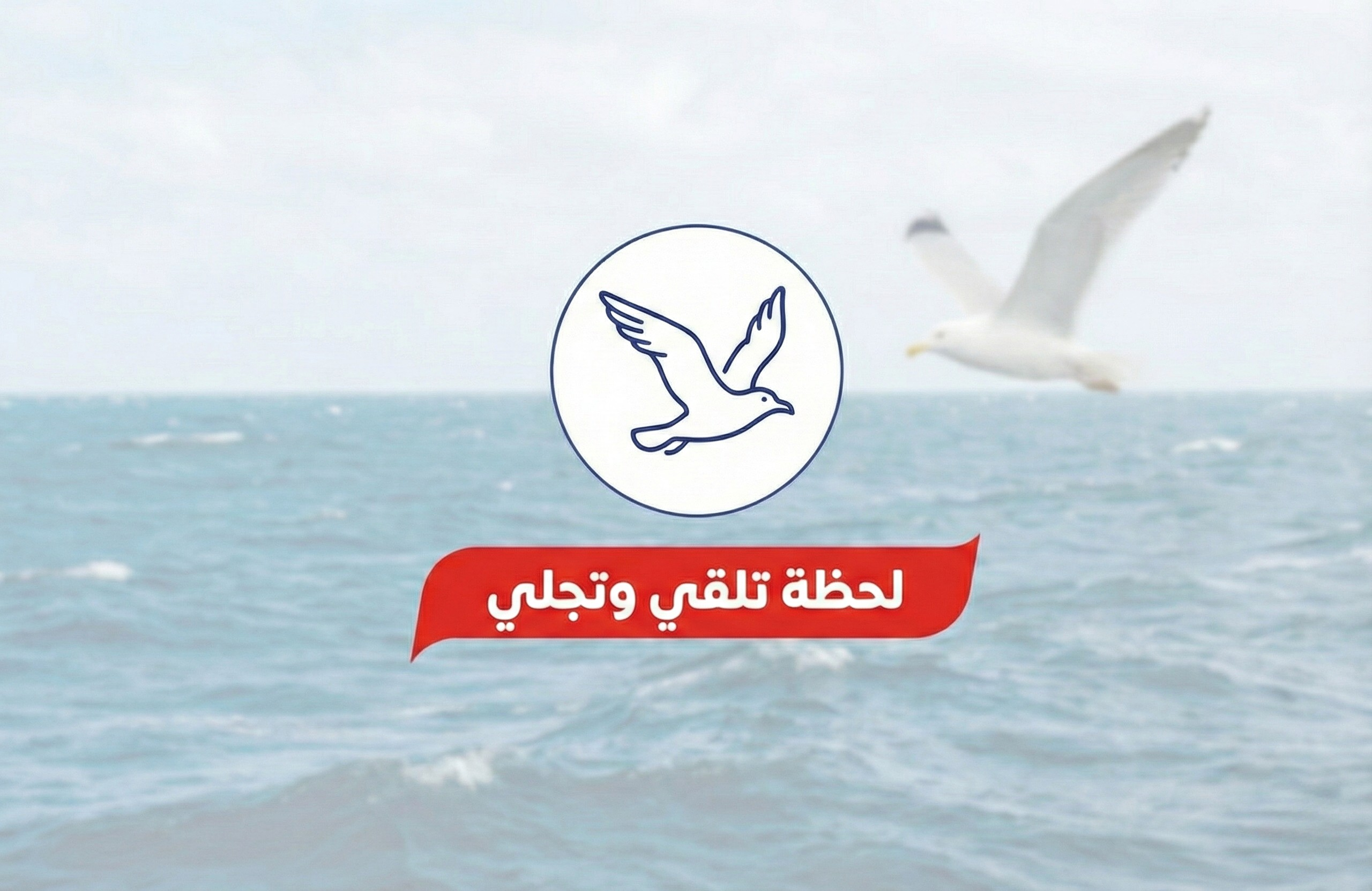 Untitled design (19).png